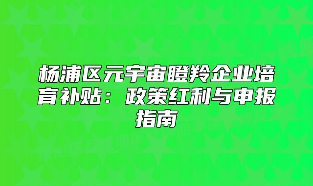 杨浦区元宇宙瞪羚企业培育补贴:政策红利与申报指南