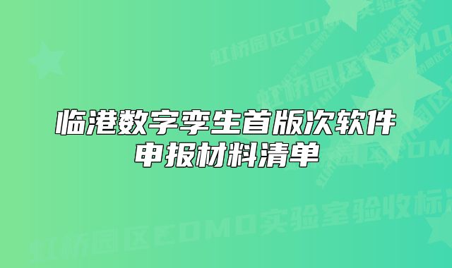 临港数字孪生首版次软件申报材料清单