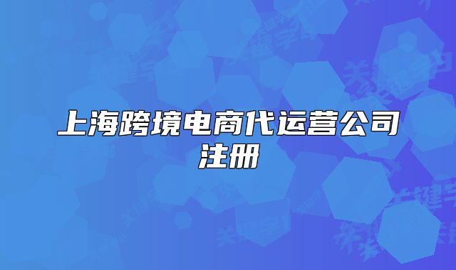 上海跨境电商代运营公司注册