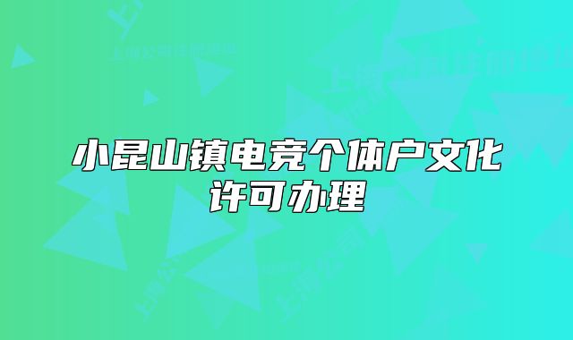 小昆山镇电竞个体户文化许可办理