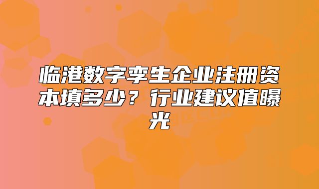 临港数字孪生企业注册资本填多少?行业建议值曝光