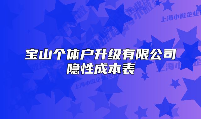 宝山个体户升级有限公司隐性成本表