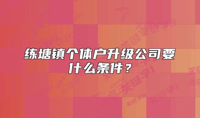 练塘镇个体户升级公司要什么条件？