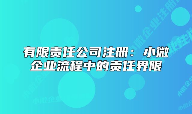 有限责任公司注册：小微企业流程中的责任界限
