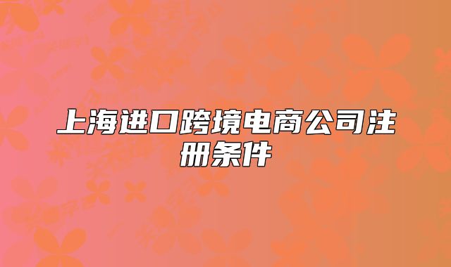 上海进口跨境电商公司注册条件