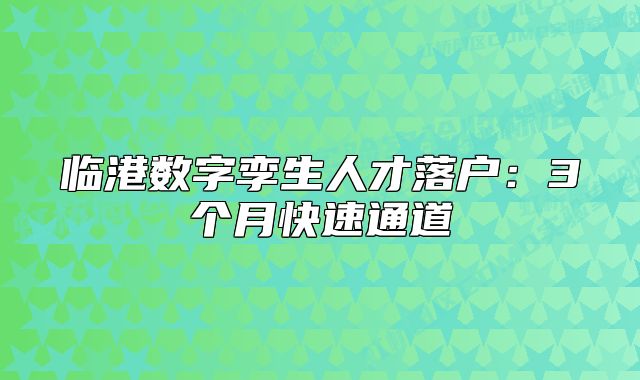 临港数字孪生人才落户:3个月快速通道