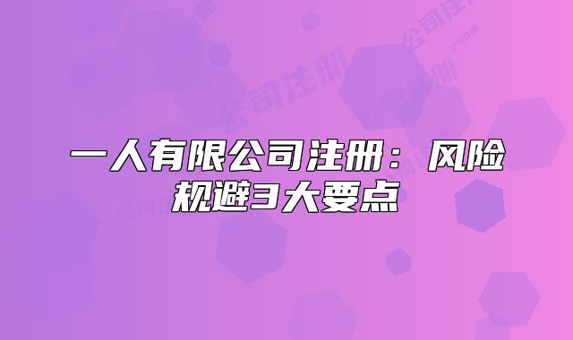 一人有限公司注册:风险规避3大要点