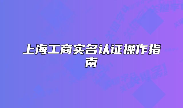 上海工商实名认证操作指南