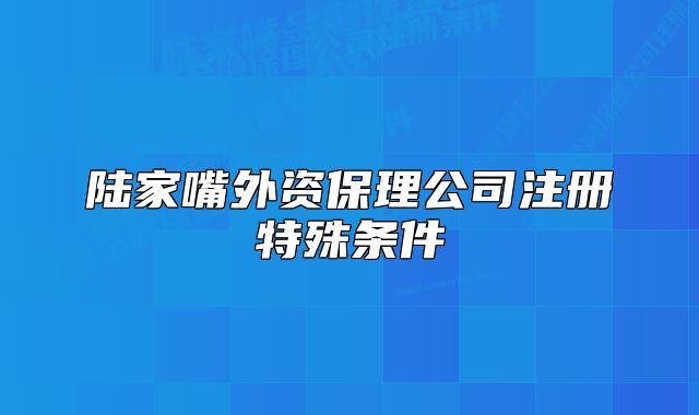 陆家嘴外资保理公司注册特殊条件