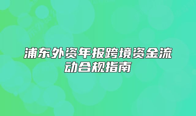 浦东外资年报跨境资金流动合规指南