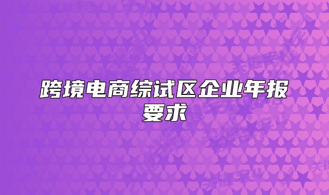 跨境电商综试区企业年报要求