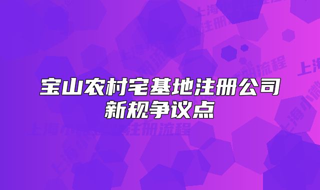 宝山农村宅基地注册公司新规争议点