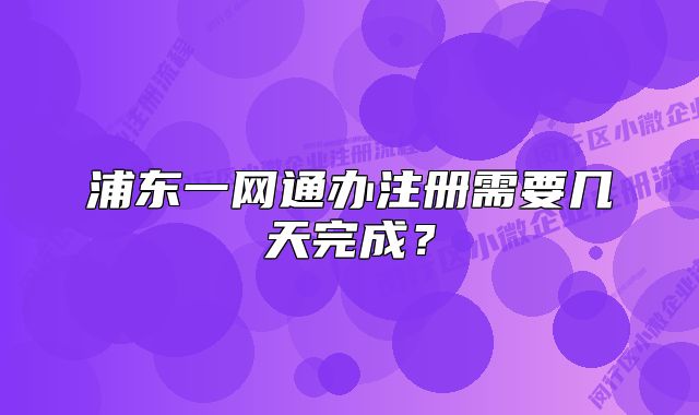 浦东一网通办注册需要几天完成？