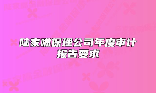 陆家嘴保理公司年度审计报告要求