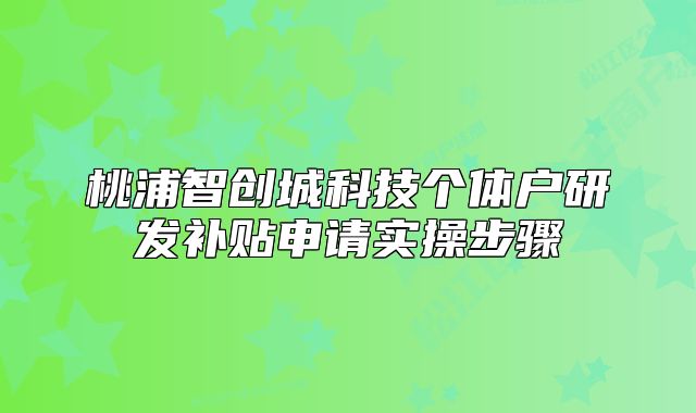 桃浦智创城科技个体户研发补贴申请实操步骤