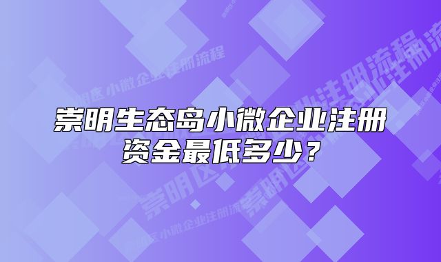 崇明生态岛小微企业注册资金最低多少？