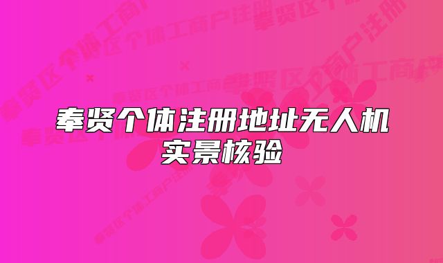 奉贤个体注册地址无人机实景核验