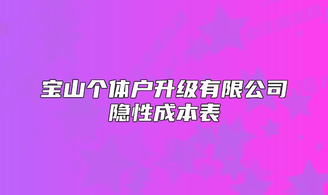 宝山个体户升级有限公司隐性成本表