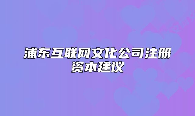 浦东互联网文化公司注册资本建议