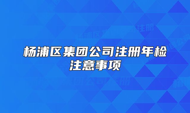 杨浦区集团公司注册年检注意事项
