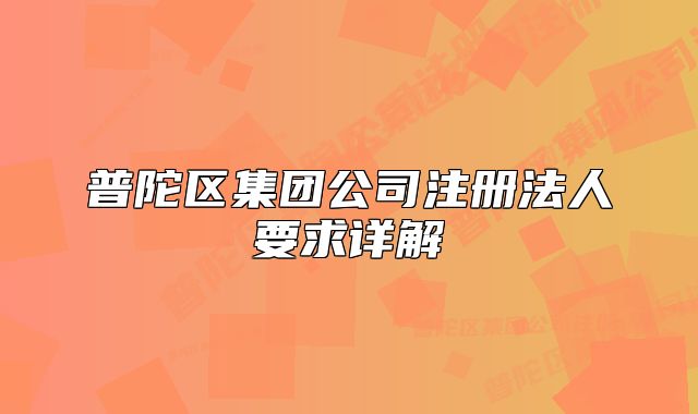 普陀区集团公司注册法人要求详解