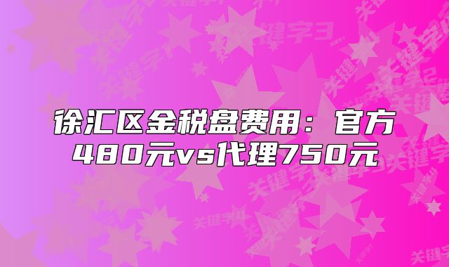 徐汇区金税盘费用：官方480元vs代理750元