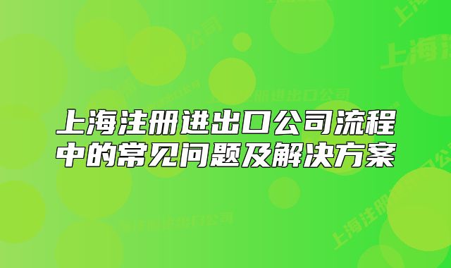 上海注册进出口公司流程中的常见问题及解决方案