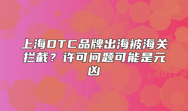 上海DTC品牌出海被海关拦截？许可问题可能是元凶