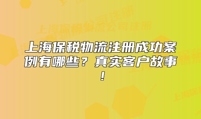 上海保税物流注册成功案例有哪些?真实客户故事!