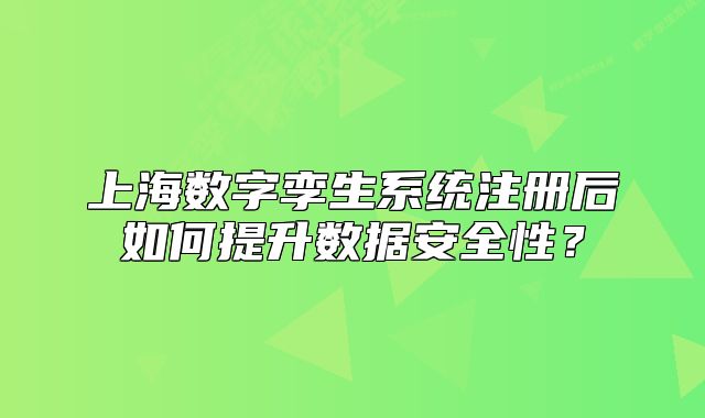 上海数字孪生系统注册后如何提升数据安全性?