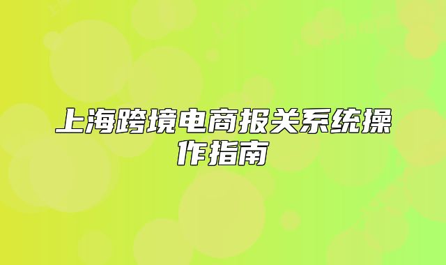 上海跨境电商报关系统操作指南