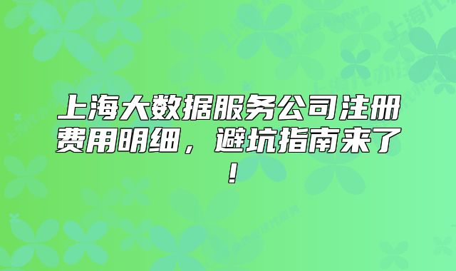 上海大数据服务公司注册费用明细,避坑指南来了!