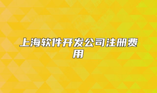 上海软件开发公司注册费用