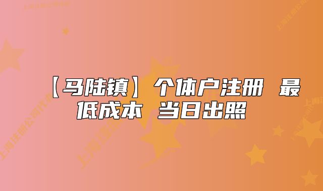 【马陆镇】个体户注册 最低成本 当日出照