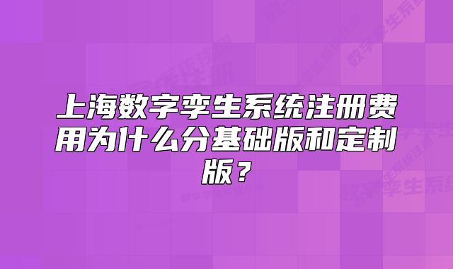 上海数字孪生系统注册费用为什么分基础版和定制版?