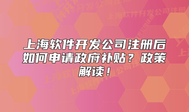 上海软件开发公司注册后如何申请政府补贴?政策解读!
