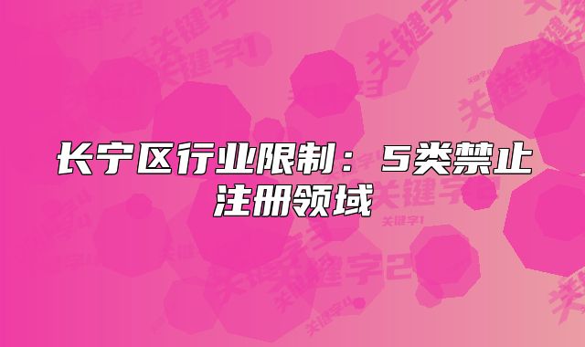 长宁区行业限制：5类禁止注册领域