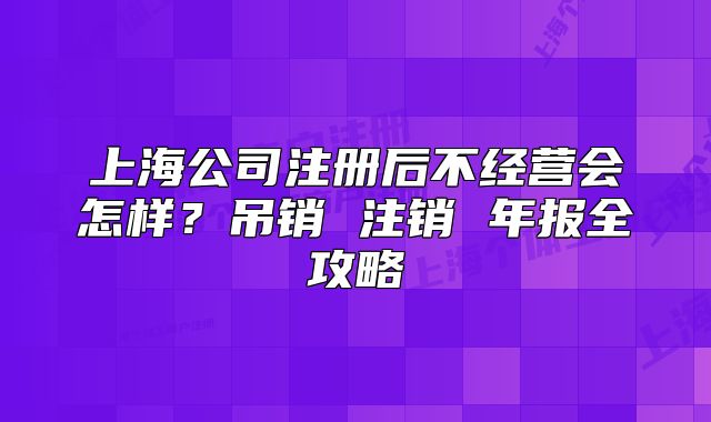 上海公司注册后不经营会怎样?吊销 注销 年报全攻略