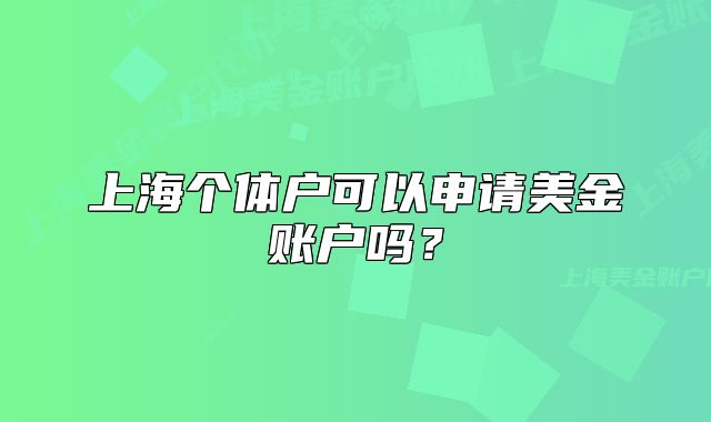 上海个体户可以申请美金账户吗?