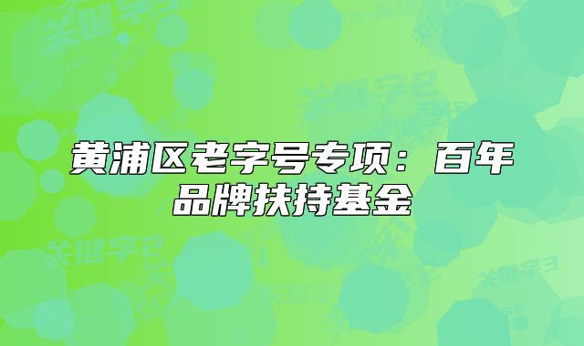 黄浦区老字号专项：百年品牌扶持基金