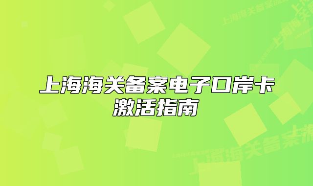 上海海关备案电子口岸卡激活指南