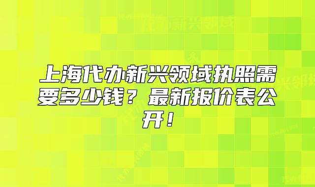 上海代办新兴领域执照需要多少钱?最新报价表公开!