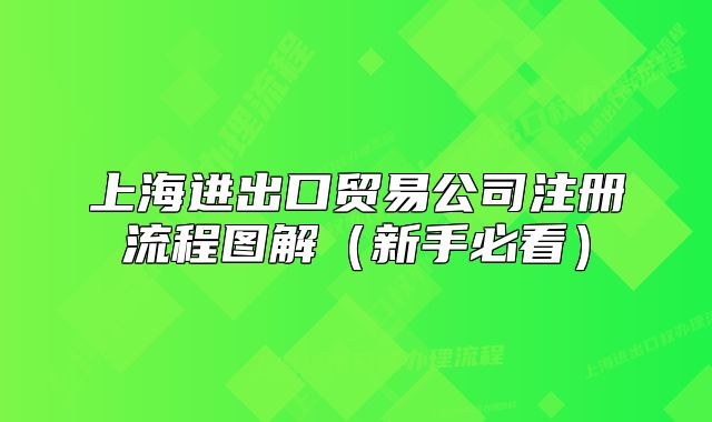 上海进出口贸易公司注册流程图解（新手必看）