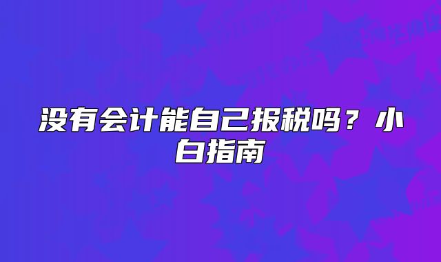 没有会计能自己报税吗？小白指南