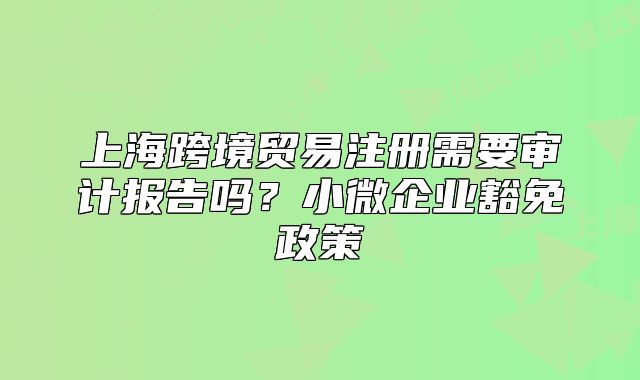 上海跨境贸易注册需要审计报告吗?小微企业豁免政策