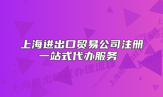 上海进出口贸易公司注册一站式代办服务