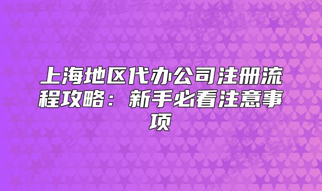 上海地区代办公司注册流程攻略:新手必看注意事项