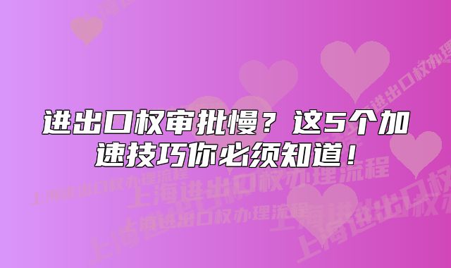 进出口权审批慢?这5个加速技巧你必须知道!