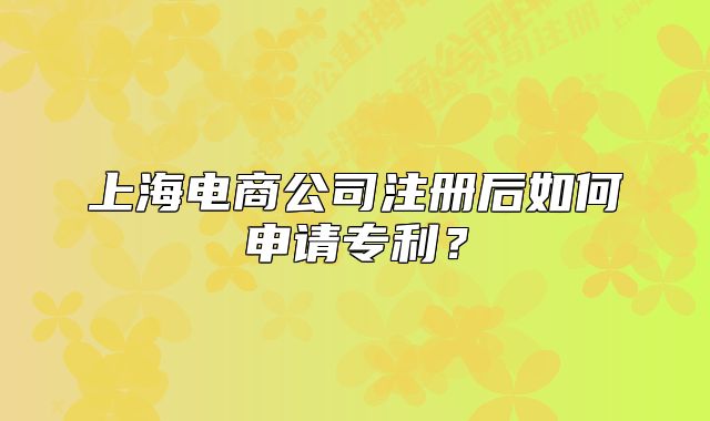 上海电商公司注册后如何申请专利?
