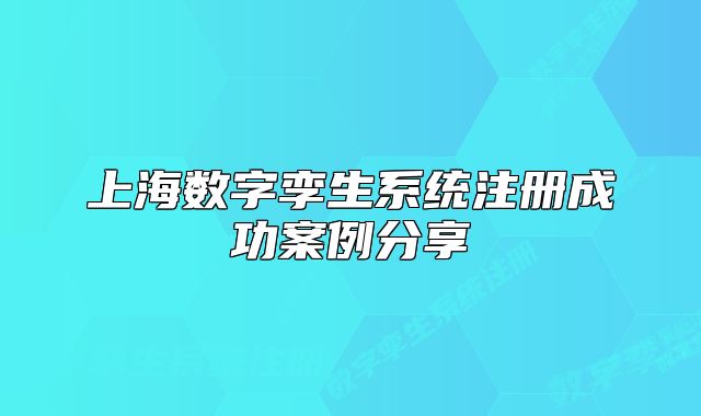上海数字孪生系统注册成功案例分享